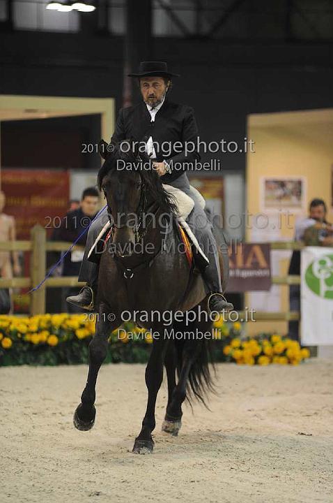 www.davidemombelli.com