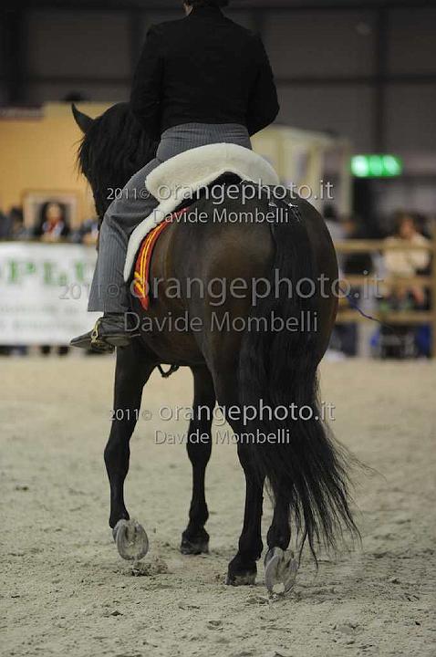 www.davidemombelli.com