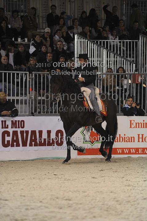 www.davidemombelli.com