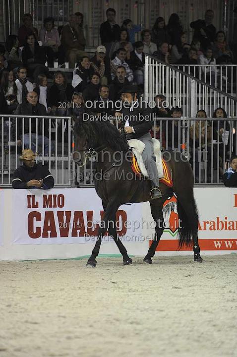 www.davidemombelli.com