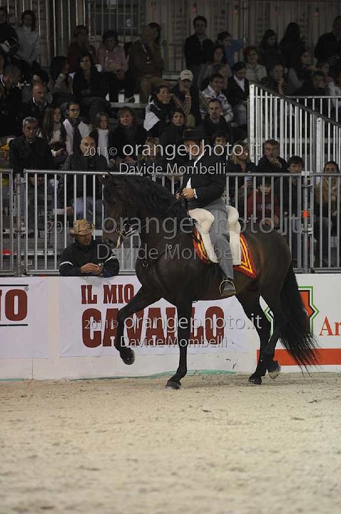www.davidemombelli.com