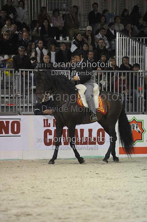 www.davidemombelli.com