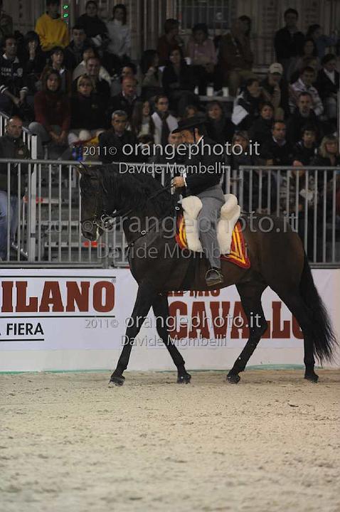 www.davidemombelli.com