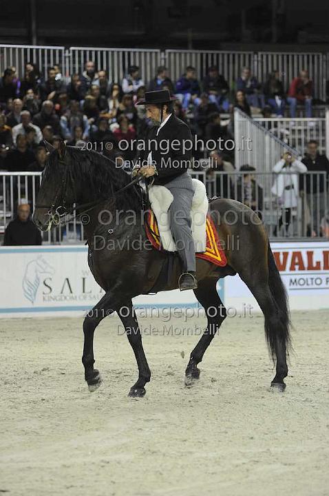 www.davidemombelli.com