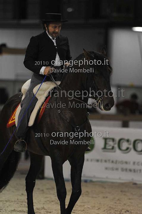 www.davidemombelli.com