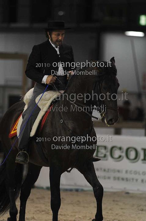 www.davidemombelli.com