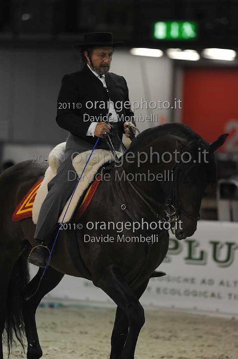 www.davidemombelli.com