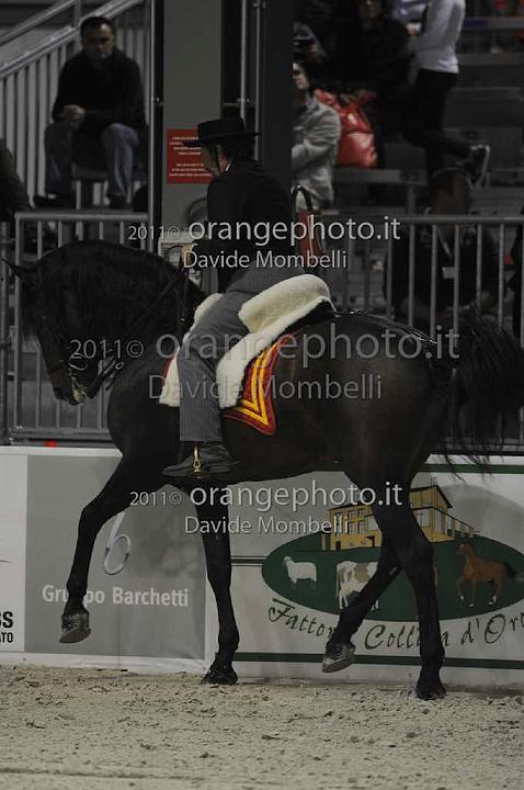 www.davidemombelli.com
