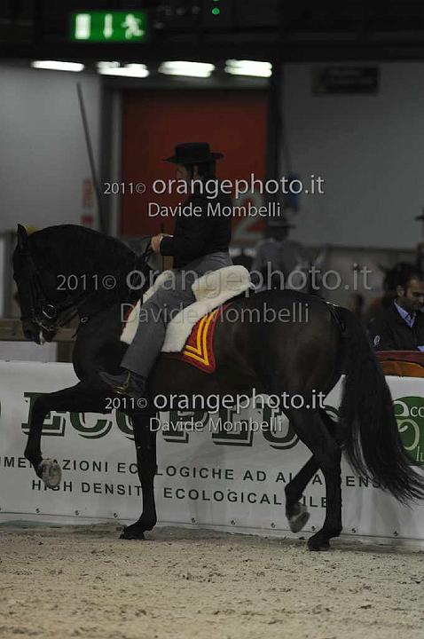 www.davidemombelli.com