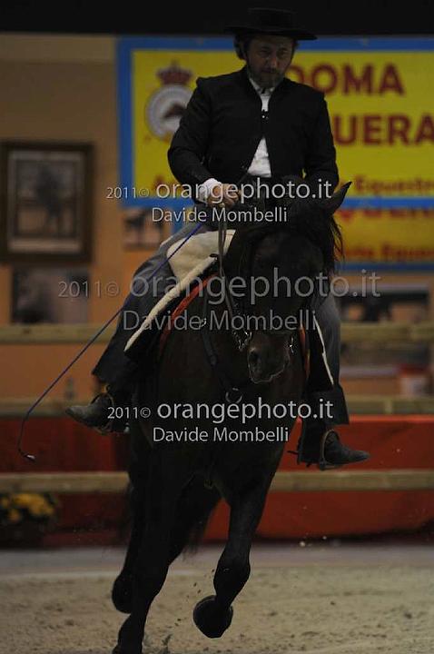 www.davidemombelli.com