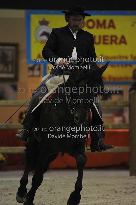 www.davidemombelli.com