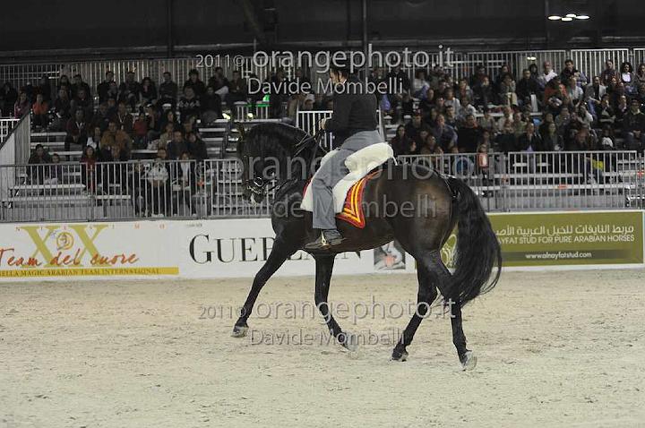 www.davidemombelli.com