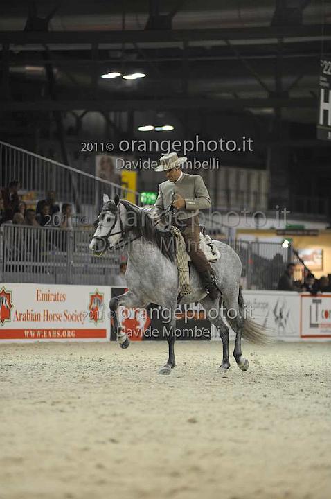 www.davidemombelli.com
