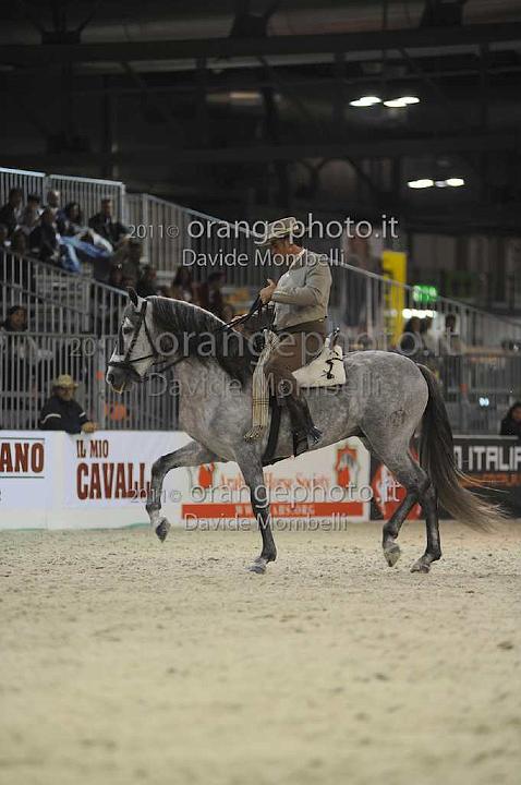 www.davidemombelli.com