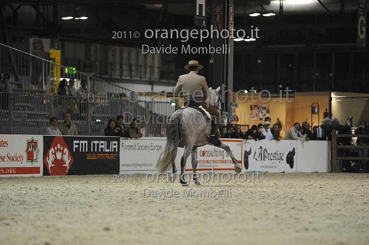 www.davidemombelli.com