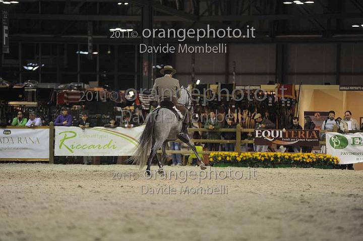 www.davidemombelli.com