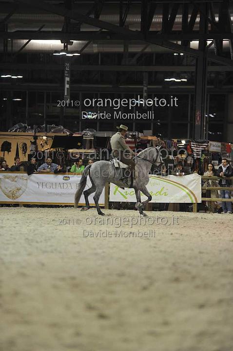 www.davidemombelli.com