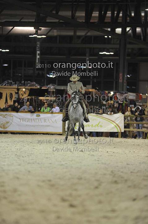 www.davidemombelli.com