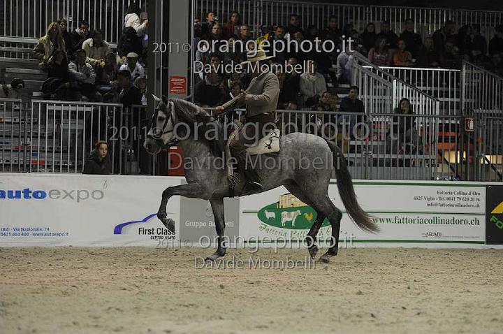 www.davidemombelli.com