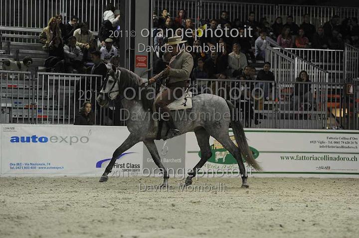 www.davidemombelli.com