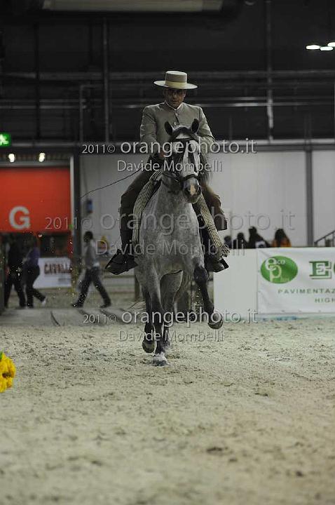 www.davidemombelli.com