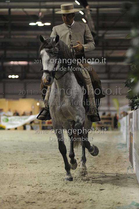 www.davidemombelli.com