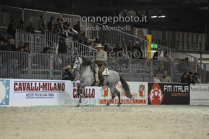 www.davidemombelli.com