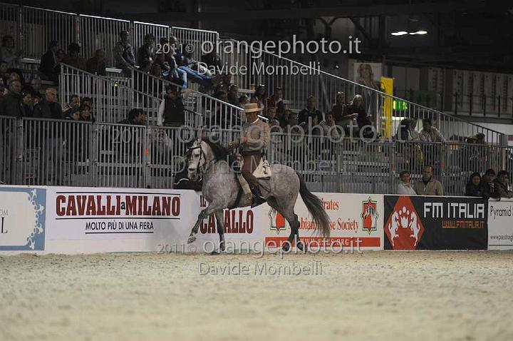 www.davidemombelli.com