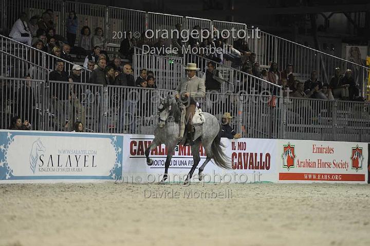 www.davidemombelli.com
