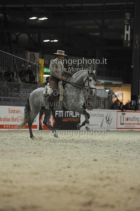 www.davidemombelli.com