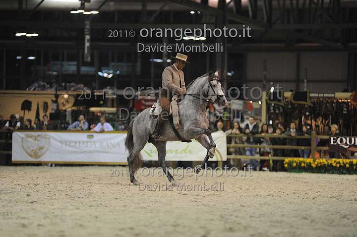 www.davidemombelli.com