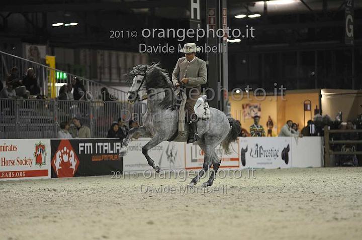 www.davidemombelli.com