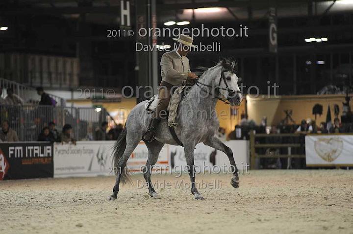www.davidemombelli.com