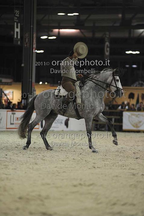 www.davidemombelli.com