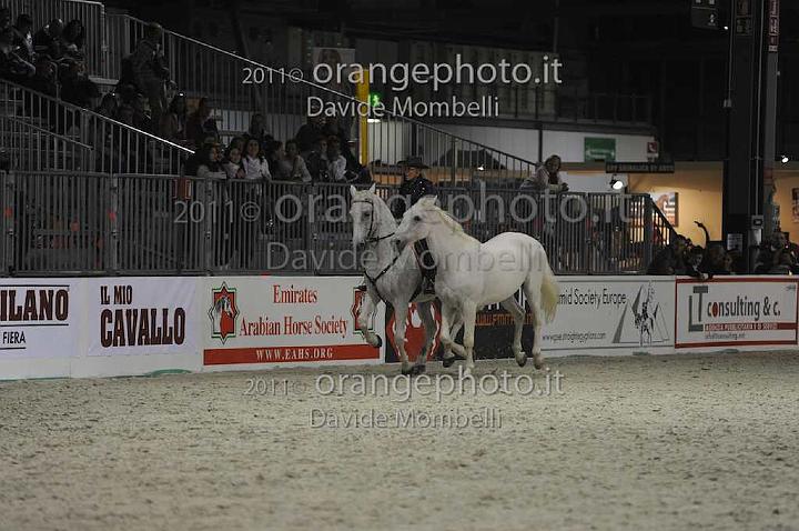 www.davidemombelli.com