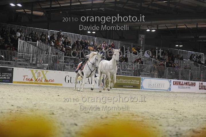 www.davidemombelli.com