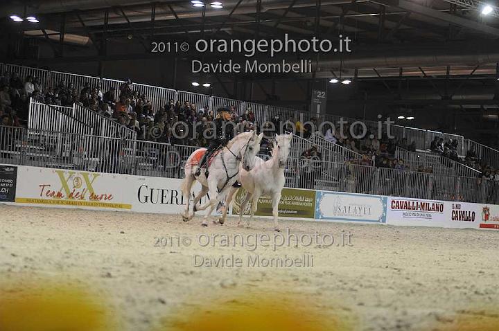 www.davidemombelli.com
