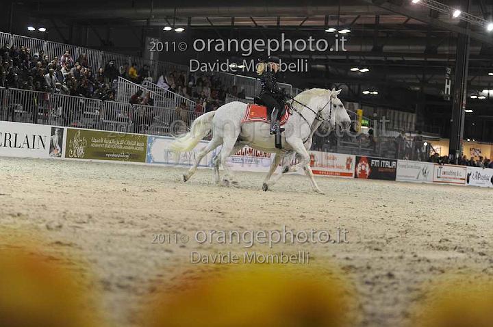 www.davidemombelli.com
