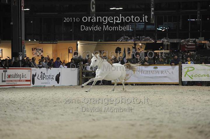 www.davidemombelli.com