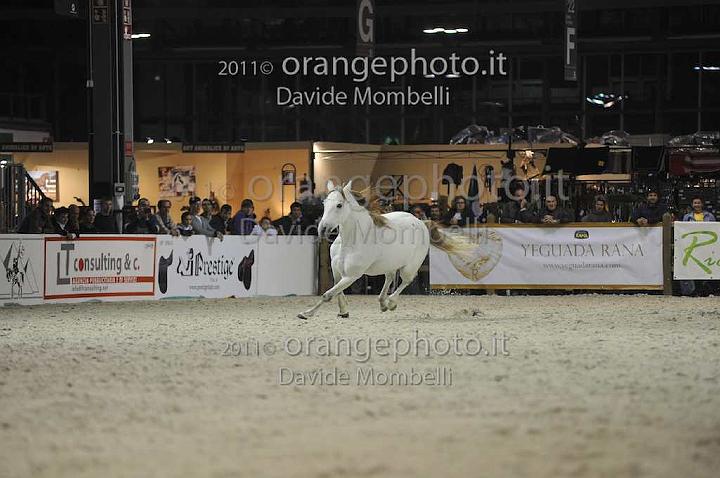 www.davidemombelli.com