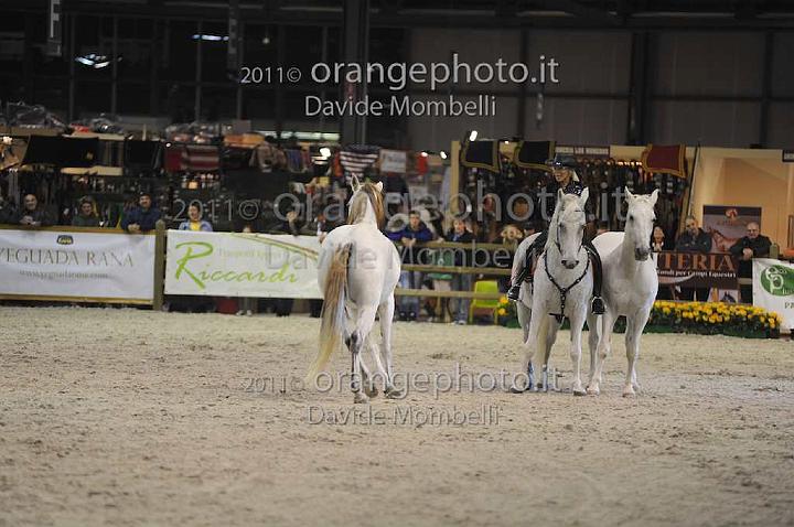 www.davidemombelli.com