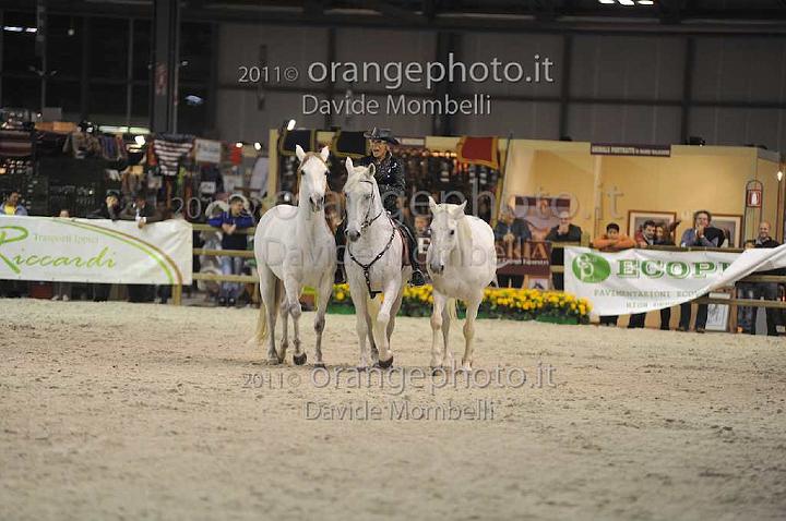 www.davidemombelli.com
