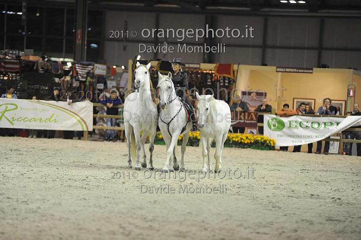 www.davidemombelli.com
