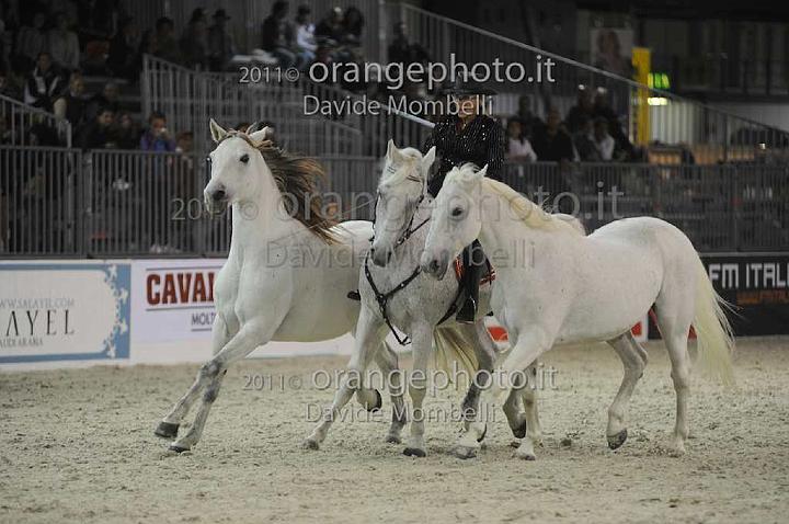 www.davidemombelli.com