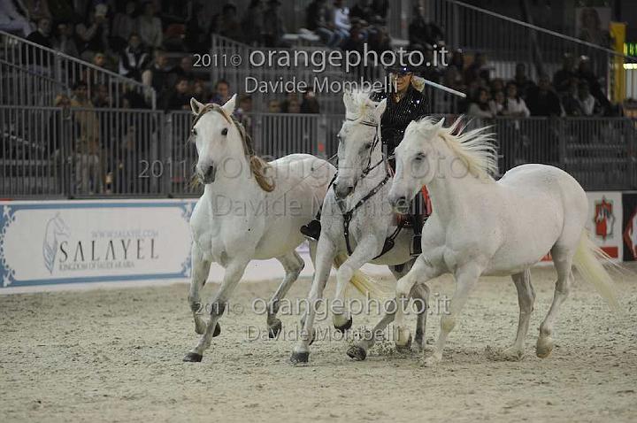 www.davidemombelli.com