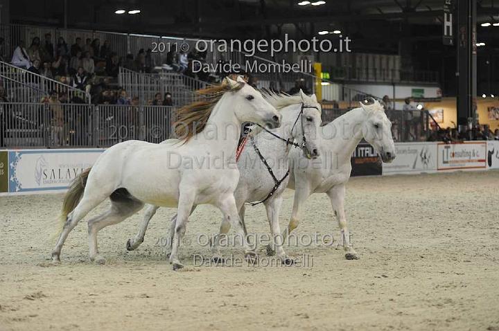 www.davidemombelli.com