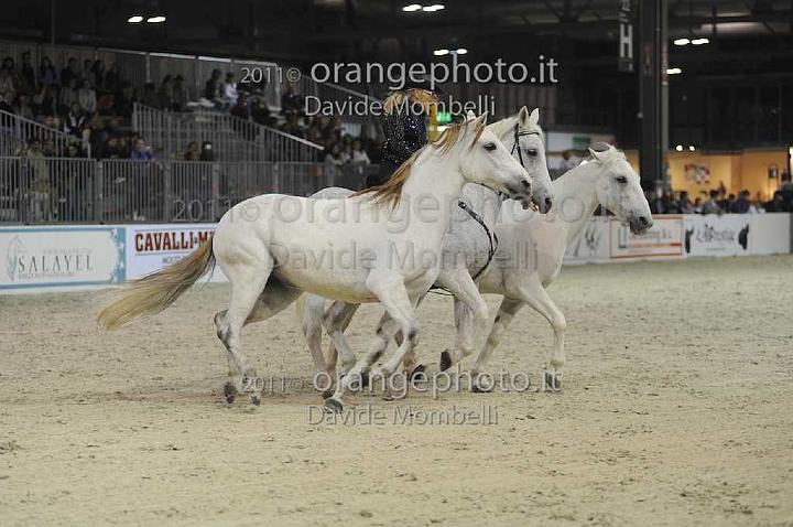 www.davidemombelli.com