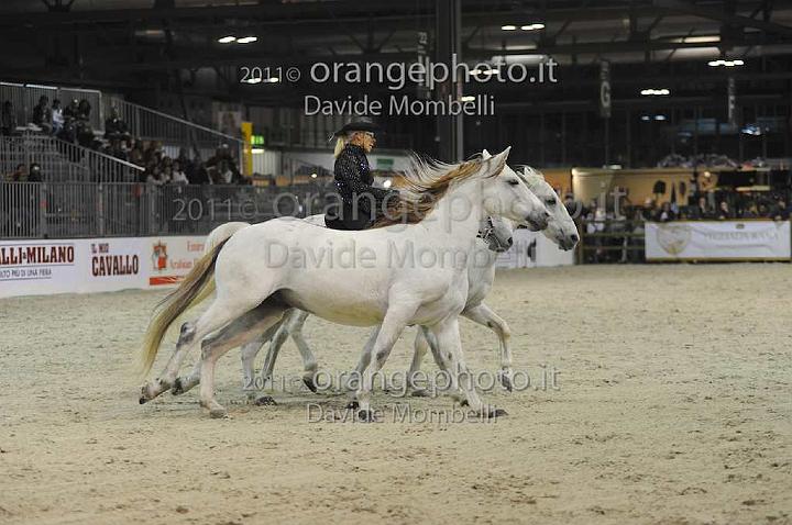 www.davidemombelli.com
