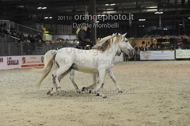 www.davidemombelli.com
