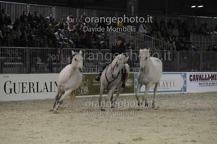 www.davidemombelli.com